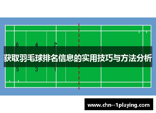 获取羽毛球排名信息的实用技巧与方法分析