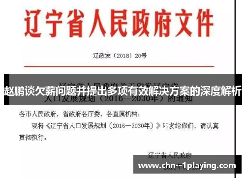 赵鹏谈欠薪问题并提出多项有效解决方案的深度解析 赵鹏谈欠薪问题并提出多项有效解决方案的深度解析