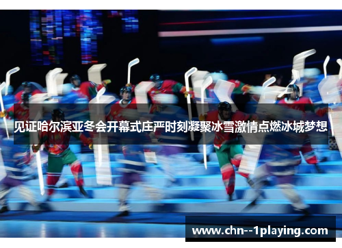 见证哈尔滨亚冬会开幕式庄严时刻凝聚冰雪激情点燃冰城梦想