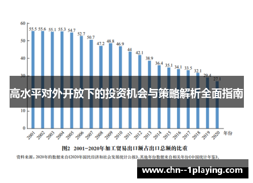 高水平对外开放下的投资机会与策略解析全面指南
