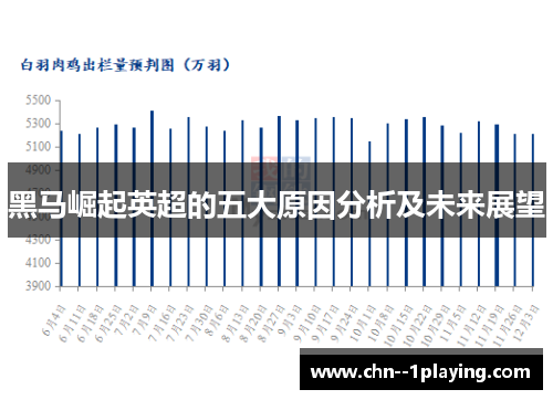 黑马崛起英超的五大原因分析及未来展望