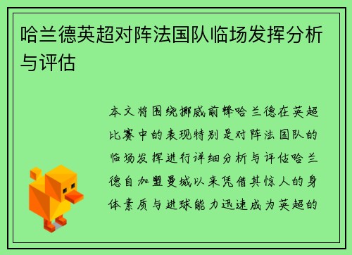 哈兰德英超对阵法国队临场发挥分析与评估